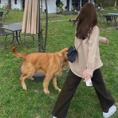 巴黎鳟鱼杀人事件