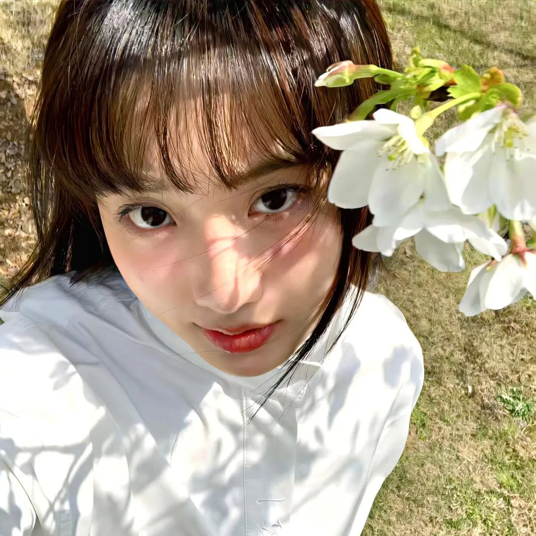 毒虫