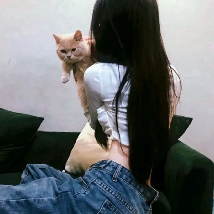 贼圣